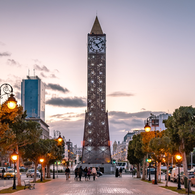 Tunisia 2 800X800