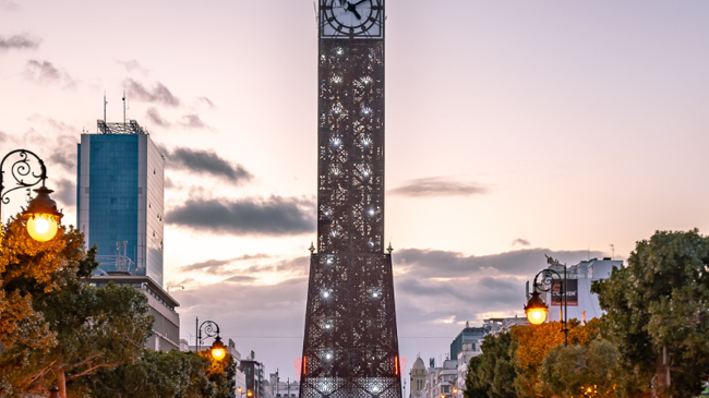 Tunisia 2 800X800